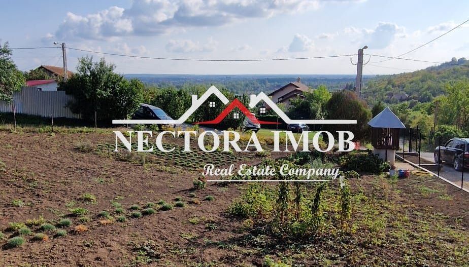 NECTORA IMOB-Casa Zona Podgoria cu 3 incaperi, 1700 mp teren,tip Conac - Poză 9
