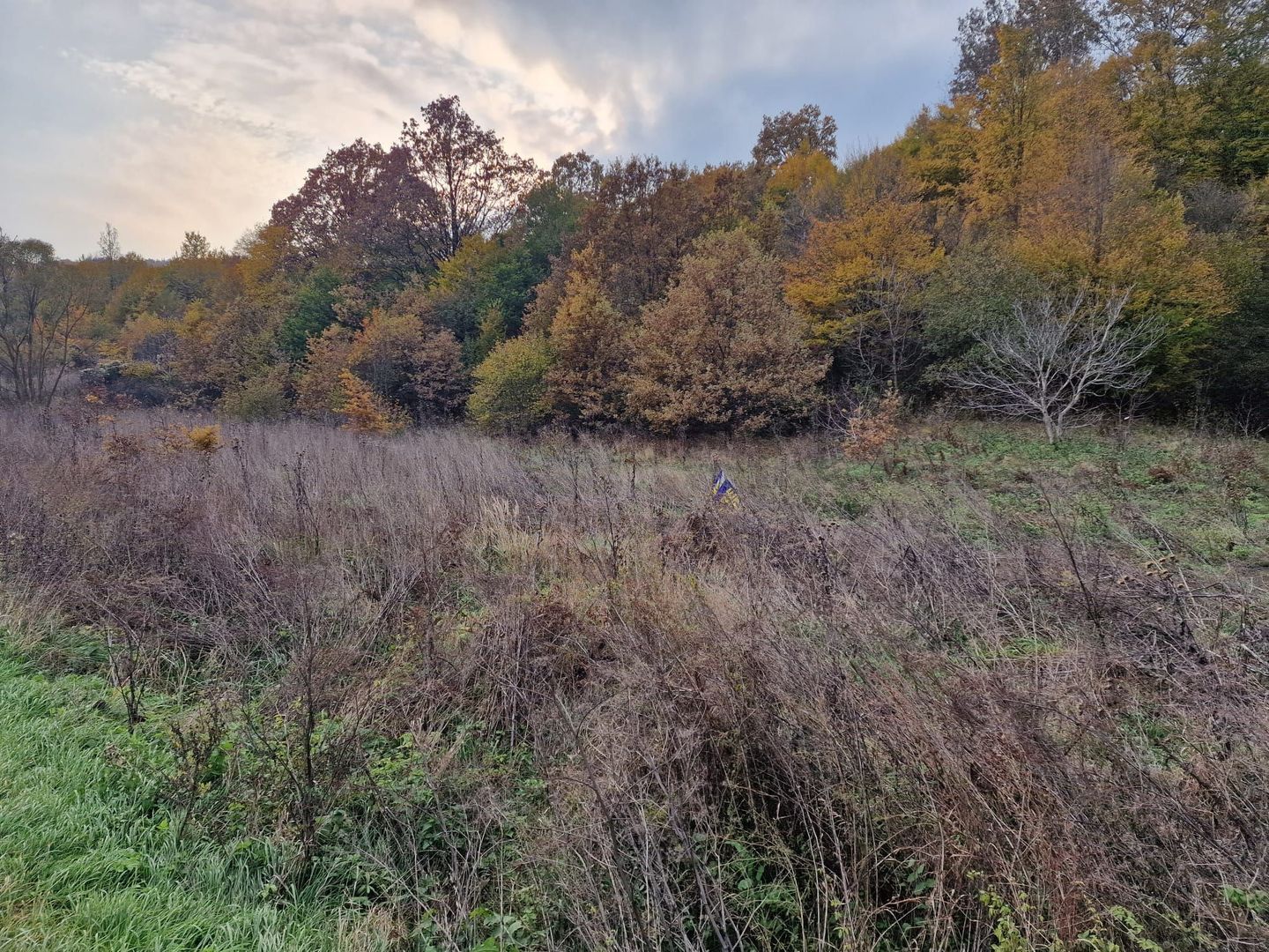 Teren 1,717mp Margineni / Strada Sat podis - Poză 10