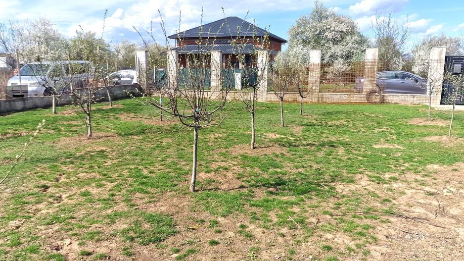 0%comision - Teren Tancabesti ingradit - Poză 7