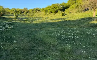 ⭐  Teren de 2.700 mp cu front generos – Ocazie în Oncea - Poză 13