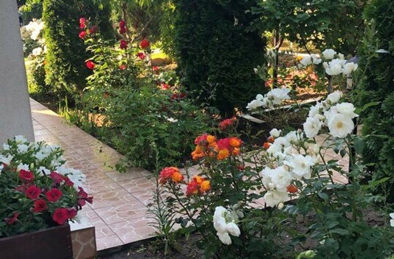 Vila - parter + mansarda -   Sendreni,  jud. Galati - Poză 9