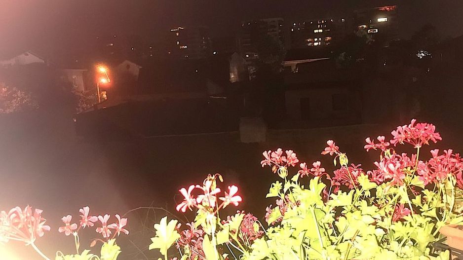 Apartament 3 camere - Central Plevnei (vizavi de Orhideea Gardens) - Poză 19