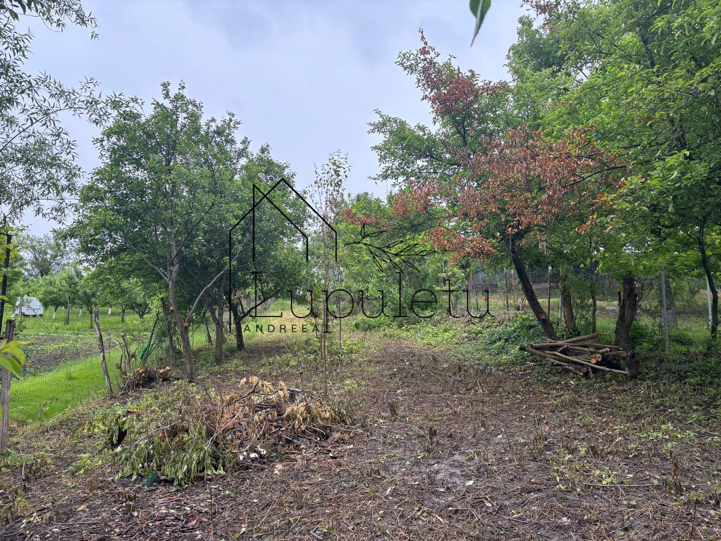 Casă de Vânzare în Bungard | 150 MPU | 2 Corpuri de Clădire - Poză 27