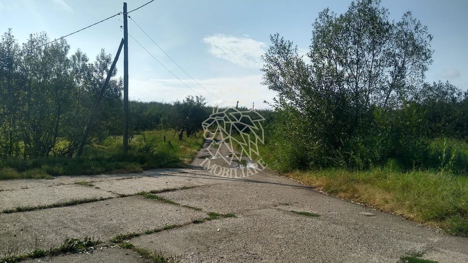 Teren 1500 mp - pretabil cabana/investitie - Zona Valea Rusului - Poză 3