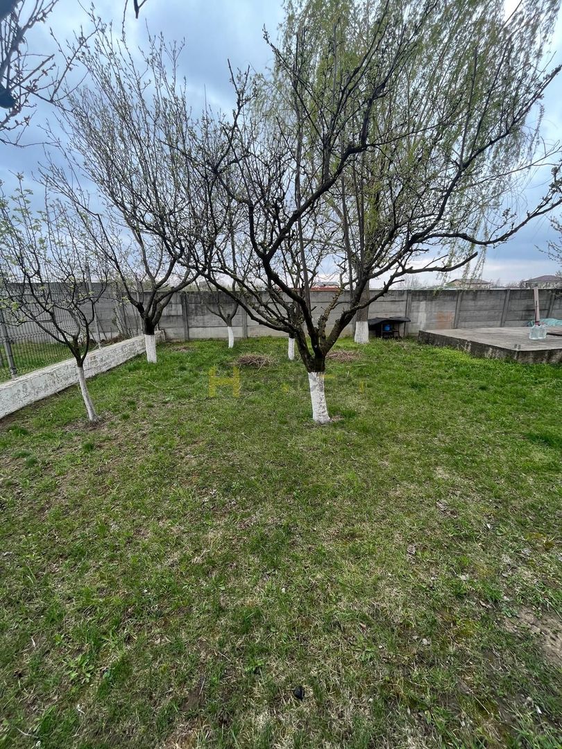 Vila ideala pentru familie numeroasa Clinceni - Poză 2