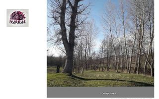 Oportunitate rară! 1 ha pădure Corcova – teren cu potențial real - Poză 1