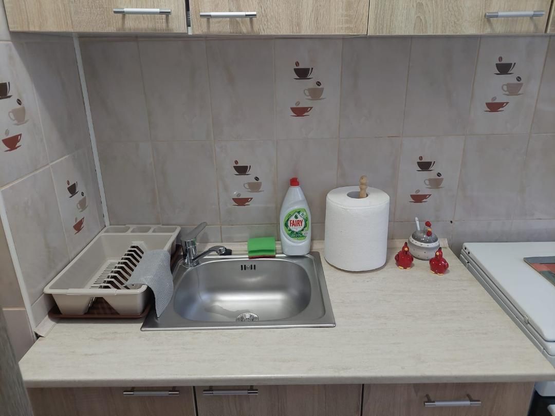 Garsoniera zona Costin Georgian - Lucretiu Patrascanu - Poză 14