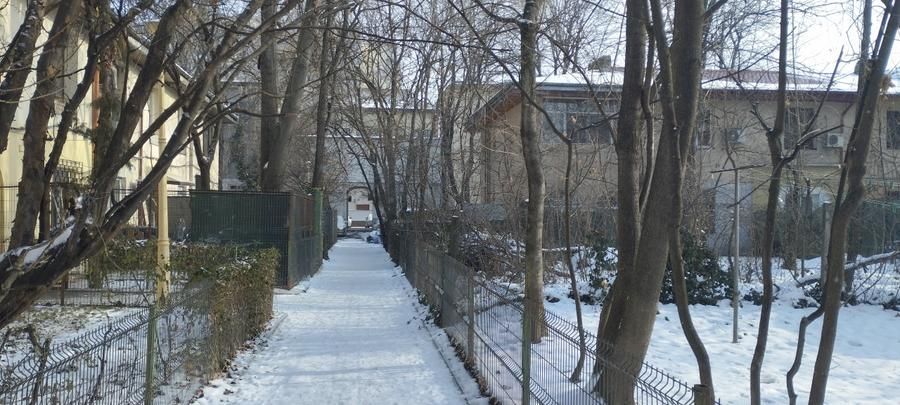 Garsonieră în vilă, terasă 10 mp, curte proprie, mobilată complet, Baba Novac - Poză 9