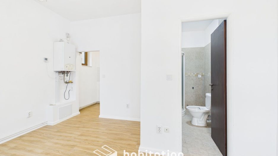 Apartament 2 camere, la casa, renovat , in zona Centrala - Piața Maria - Poză 12