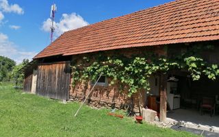 Casa individuala | Teren 868 MP | 2 bai | Pivnita | Arpasu - Poză 4