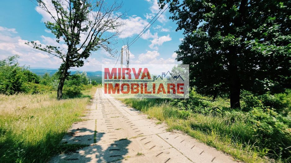 Teren extravilan 1.667 mp cu vedere panoramică – Dealul Ținea, Băicoi - Poză 1