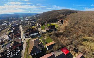 Proprietate pretabila pentru afacere, Cladova - Poză 34