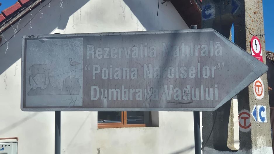 Exclusivitate - La 4 km de Poiana Narciselor, teren intre case, cu utilitati. - Poză 8