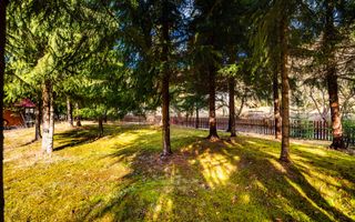 Cabane cu 10 camere Arieseni - Poză 13