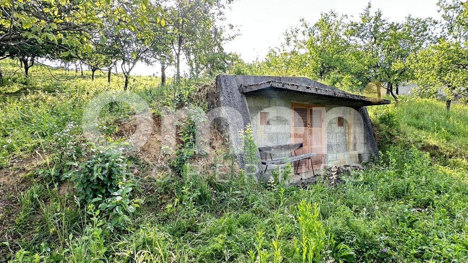 Casa de vanzare Viile Apei - Poză 9