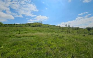 Teren cu vedere la Lacul 2 – 2.103 mp | Câmpenești - Poză 4