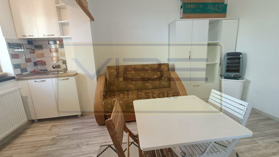 Garsoniera - 250 euro - Vișan ! - Poză 5