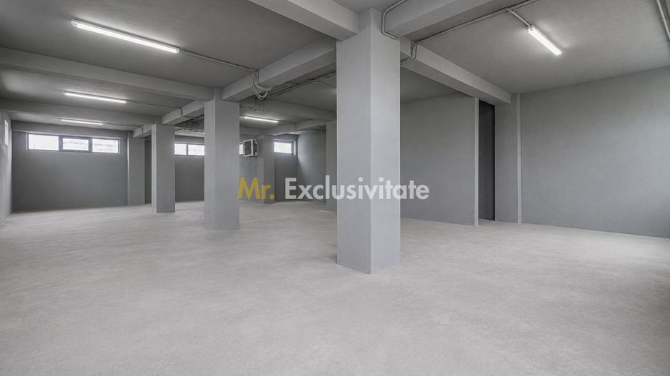 Hala / Spatiu Productie / Rezidential - Vedere catre lac - Poză 18