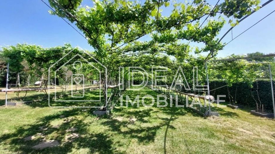 Teren intravilan 2.158 mp - Tropinii Noi, Sibiu | 2 parcele | Zonă Dumbrava - Poză 2