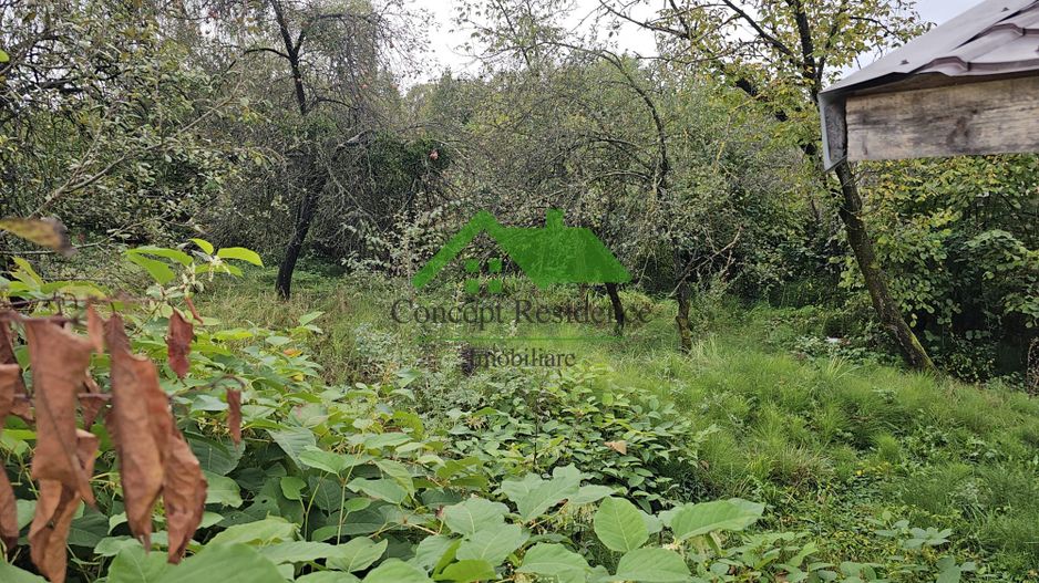 Vânzare teren intravilan 2800 mp – Baia Sprie, cartier de case - Poză 3