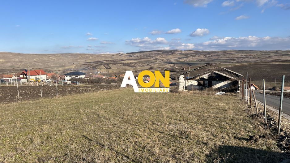 2,314 Mp in Daia Romana, toate utilitatile la asfalt, 80ml deschidere - Poză 1