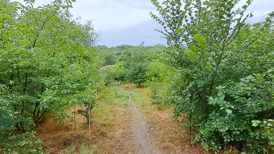 Giurgiu, comuna DAIA, casa demolabila, teren 1300 mp, dubla deschidere - Poză 3