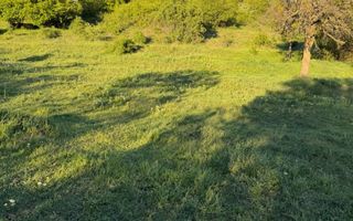 ⭐  Teren de 2.700 mp cu front generos – Ocazie în Oncea - Poză 22
