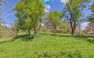 Proprietate rară cu 24.270 mp, în Măgulicea, Arad! - Poză 29