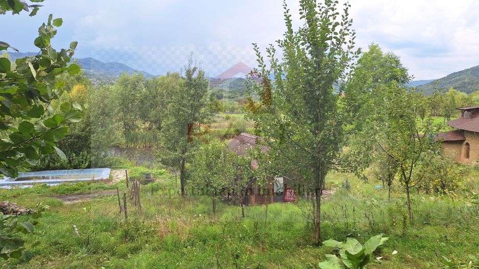 VANZARE ANSAMBLU CASUTE BRADULET ARGES - Poză 12