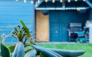 INCHIRIAT - Casa Sacalaz - Segmentul Premium | 2 dormitoare & 2 bai, 88 mp - Poză 1