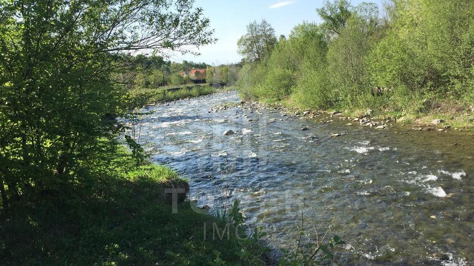 Teren de vanzare în reprezentare exclusivă, situat pe Valea Avrigului! - Poză 8