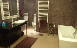 APARTAMENT SPATIOS CU 4 CAMERE LA INCHIRIERE LANGA PARCUL HERASTRAU - Poză 5