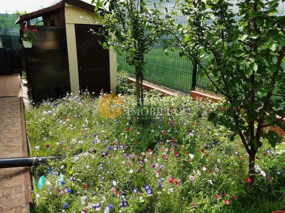 Casa individuala in Dancu - La asfalt - mobilata - toate utilitatile - Poză 8