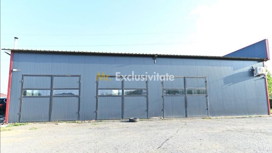 De vanzare proprietate Podari – 2 hale industriale + casa și spatiu recreativ - Poză 14