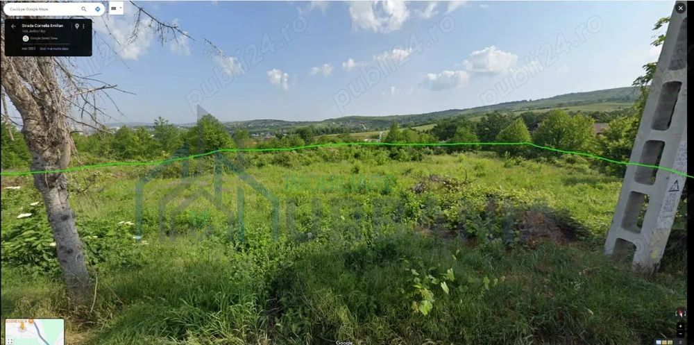 # - Teren intravilan - Bucium (Casa Boiereasca) Aleea cu pini - Poză 3