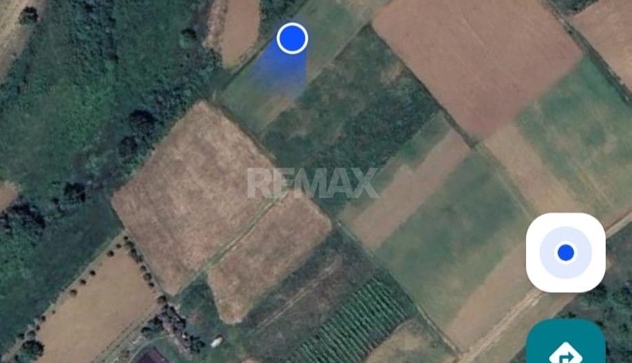 Tabăra/Orhei | 11,62 ari | Teren în inima Codrilor – Ideal pentru evadare în natură sau investiție - Poză 15