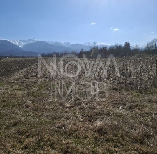 Teren extravilan de vanzare - Arpasul de Sus - Poză 4