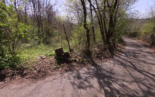 Investitie sigura! Teren foarte bine pozitionat in Brebu, Prahova - Poză 7