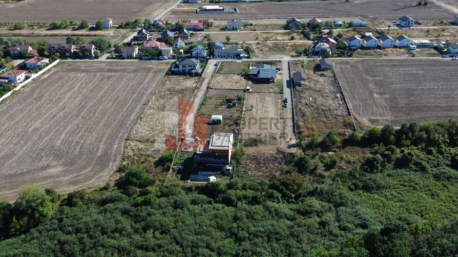 Terenuri – Dumbrăveni, Balotești, Ilfov - Poză 5