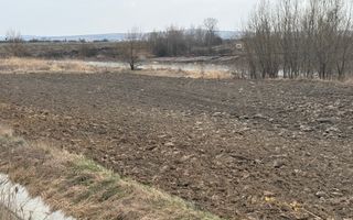 Teren extravilan | Rădăuți | 36 ARI - Poză 3