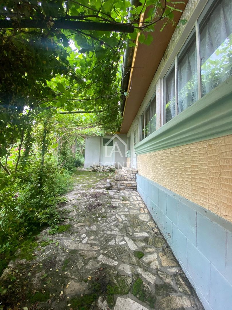 Domeniu 15.900 mp în Fințești | Casă + Investiție Dealu Mare - Poză 3
