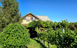 casa 3 camere Viile Satu Mare - Poză 12