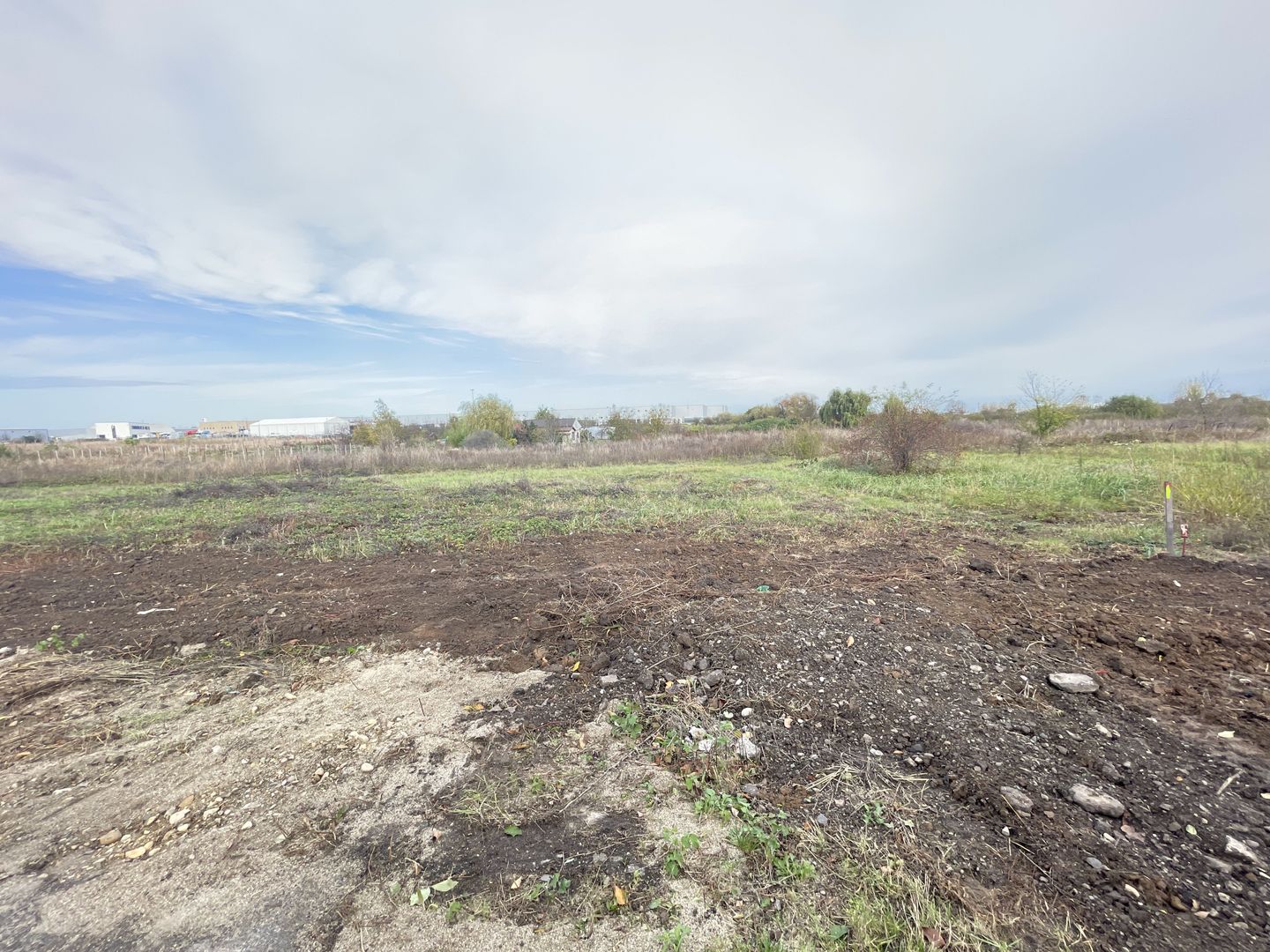 TEREN DUMBRAVITA 602 MP-FRONT 24 ML - Poză 2