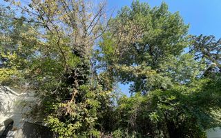 Teren Intravilan ***418mp*** posibilitate constructie S+P+2E+3ER // Floreasca - Poză 6