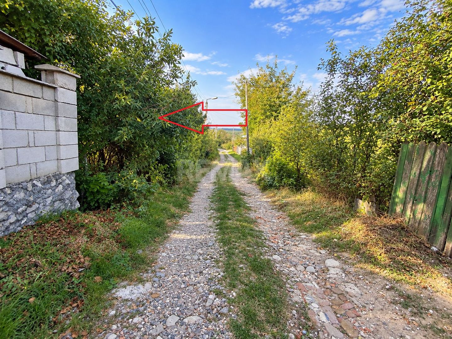 LOT POMICOL DE VÂNZARE – 5,7 ARI | IALOVENI  Î.P. „Floare-Carpet - Poză 4