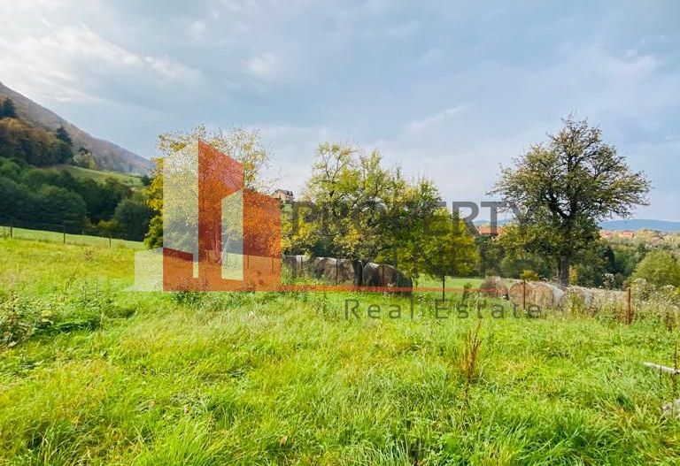 Casa + teren 1700 mp langa Padure Bran/ Predelut - Poză 4