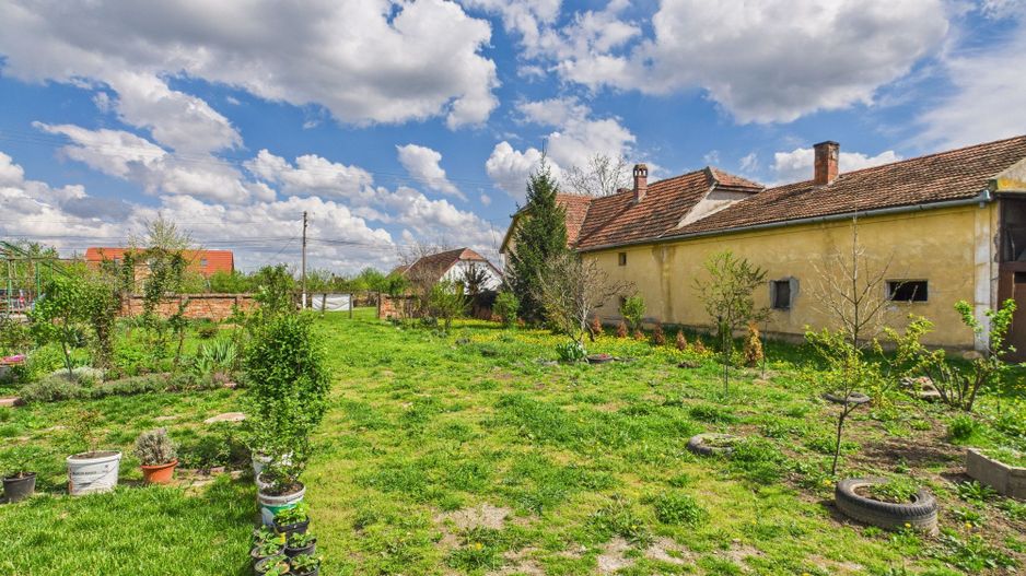 Teren 1300 mp, Beregsău Mare - Poză 3