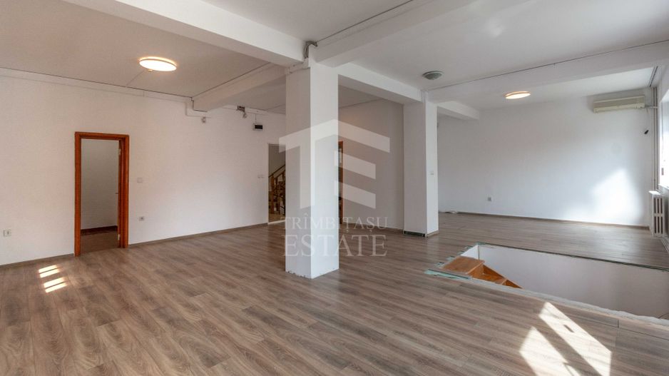 Aviatiei | Smaranda Braescu | Vila reprezentativa de inchiriat - Poză 24
