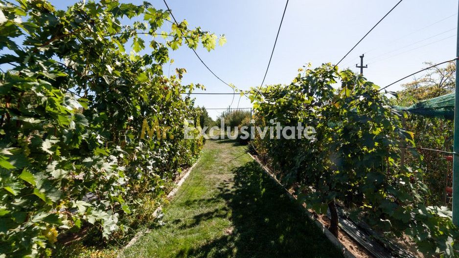 Casa visurilor cu 4000 mp livada roditoare si gradina Darmanesti-Arges - Poză 18