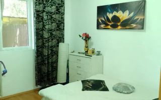 Apartament 2 camere,parter,curte,mobilat/utilat  Eroii Revolutiei - Poză 1